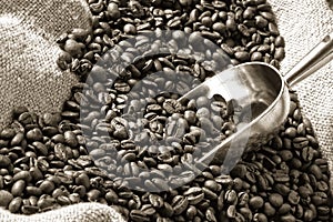 Espresso and coffee grain