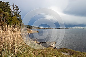 Esquimalt Lagoon from Royal Roads University