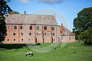 Esrum Monastery in Denmark