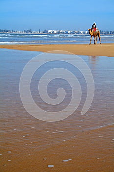 Essaouira Beach