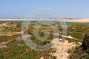 Essaouira beach in Morocco, Africa.