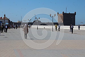 Essaouira Harbor, Morocco