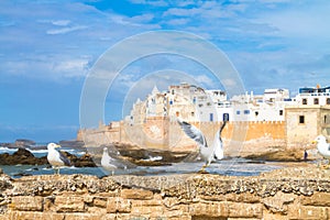 Essaouira - Magador, Marrakech, Morocco.