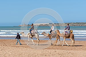 ESSAOUIRA/MOROCCO - MARCH 12, 2014: A group of tourists camel ride along the ocean
