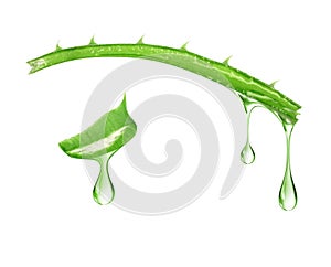 Essence flows from the stem of aloe vera on a white background