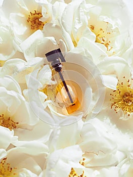 Essence of rose flowers in a mini bottle. Aromatherapy for relaxation.