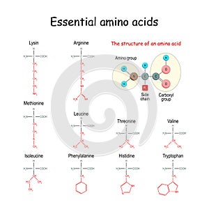 Essential amino acid or indispensable amino acid. chemical structural formula