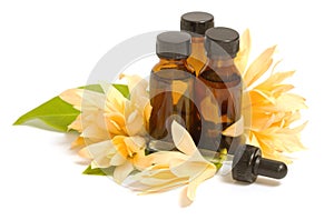 Essential aroma oil with champaka flower