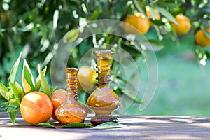 Essential citrus oil and fruit