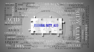 Essential fatty - a complex subject, related to many concepts. Pictured as a puzzle and a word cloud made of most important ideas