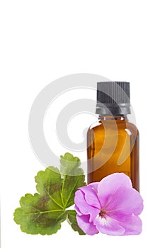 Essential geranium oil in bottle and flowers photo
