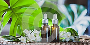 Essential Jasmine oil. Bioproduct, organic cosmetics. Perfumery, cosmetology, aromatherapy