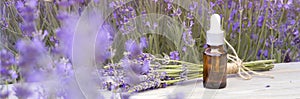 Essential lavender oil in the bottle with dropper on the gray wooden desk. Horizontal close-up.