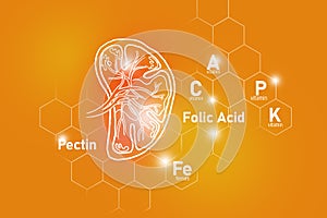 Essential nutrients for Spleen health including Pectin, Folic Acid, Vitamin P, Ferrum.