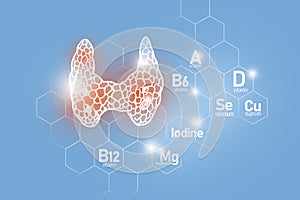 Essential nutrients for Thyroid Gland health including Iodine, Selenuim, Vitamin B6, Cuprum.