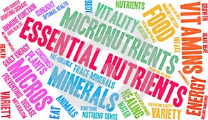 Essential Nutrients Word Cloud