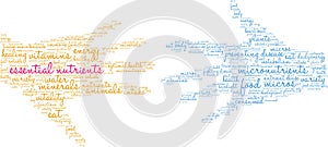 Essential Nutrients Word Cloud