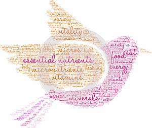 Essential Nutrients Word Cloud