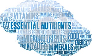 Essential Nutrients Word Cloud
