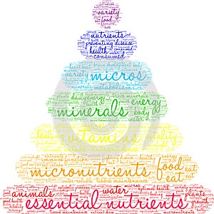 Essential Nutrients Word Cloud