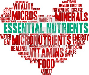 Essential Nutrients Word Cloud