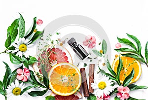 Essential oil for beauty skin. Flat lay beauty ingredients on a light background, top view. Beauty healthy lifestyle concept