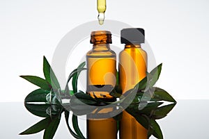 Essential oil bottle with myrtle leaves, in amber glass with dropper