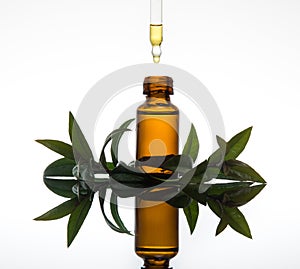 Essential oil bottle with myrtle leaves, in amber glass with dropper