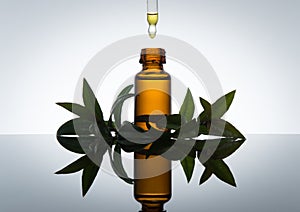 Essential oil bottle with myrtle leaves, in amber glass with dropper