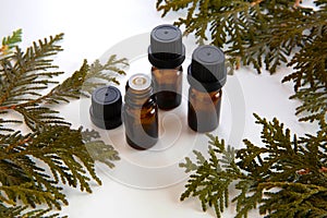 Essential oil bottles with cedar leaves