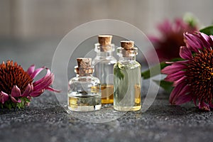 Essential oil bottles with echinacea flowers