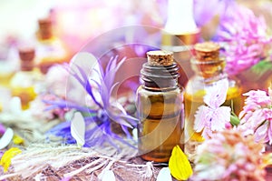 Essential oil bottles on medicinal flowers and herbs background