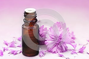 Essential oil bottles on medicinal pink cornflowers flowers background