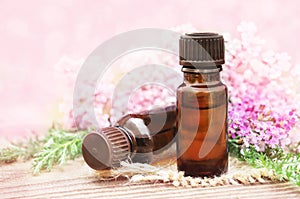 Essential oil bottles with yarrow herbs and flowers