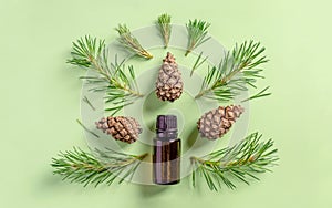 Essential oil and cones and needles of conifers trees on a green background