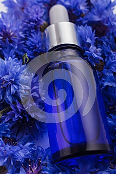 Essential oil of cornflower on a white background