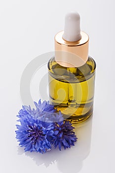 Essential oil of cornflower on a white background