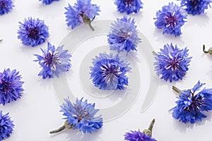 Essential oil of cornflower on a white background