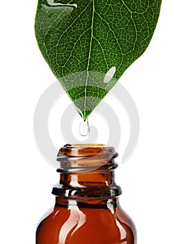 Essential oil drop falling from green leaf into glass bottle on white background