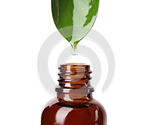 Essential oil drop falling from green leaf into glass bottle on white background