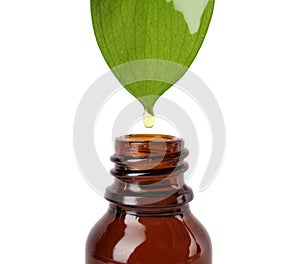 Essential oil drop falling from green leaf into glass bottle on white background