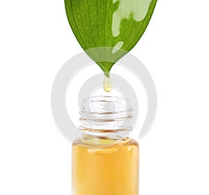 Essential oil drop falling from green leaf into glass bottle on white background