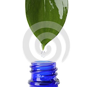 Essential oil drop falling from green leaf into glass bottle on white background