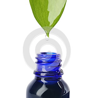 Essential oil drop falling from  leaf into glass bottle on white background, closeup