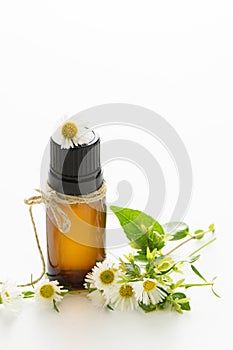 Essential oil, empty tags and chamomile