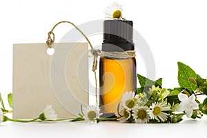 Essential oil, empty tags and chamomile