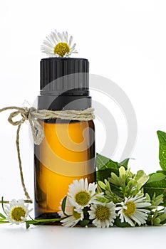 Essential oil, empty tags and chamomile