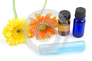 Essential oil and gerbera daisy