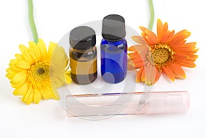 Essential oil and gerbera daisy