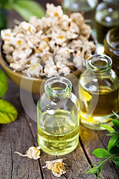 Essential oil in glass bottle with dried chamomile flowers. essential oils and medical flowers herbs